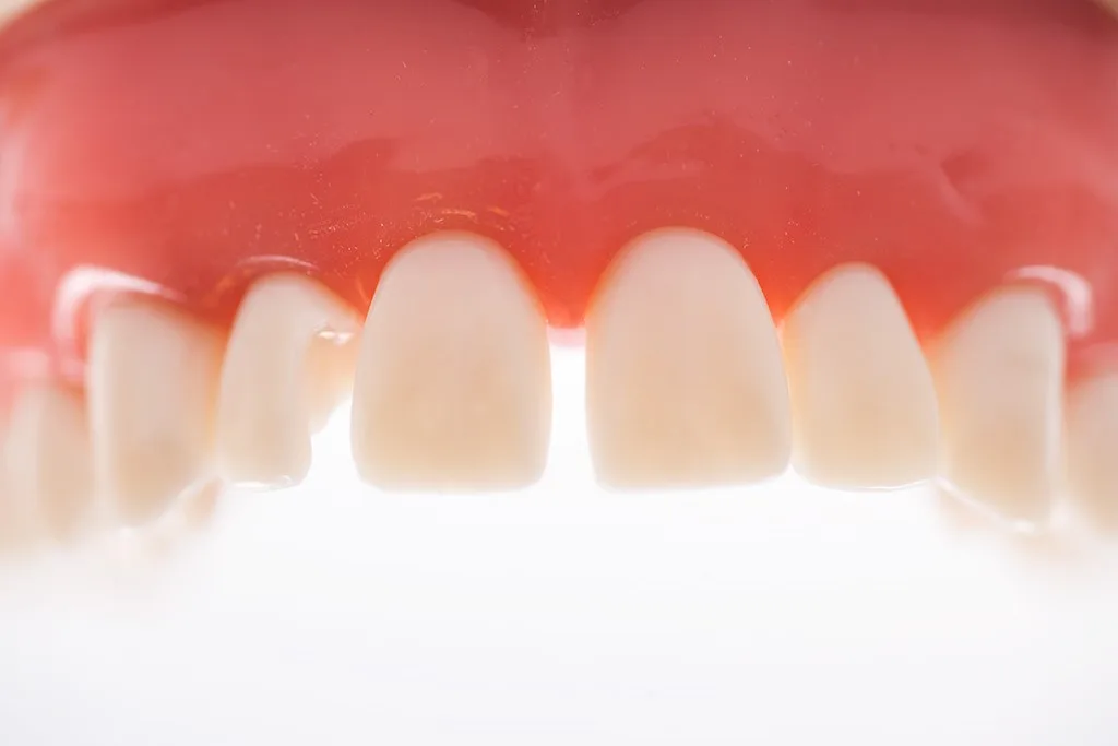 ProxyPal® - Image 2