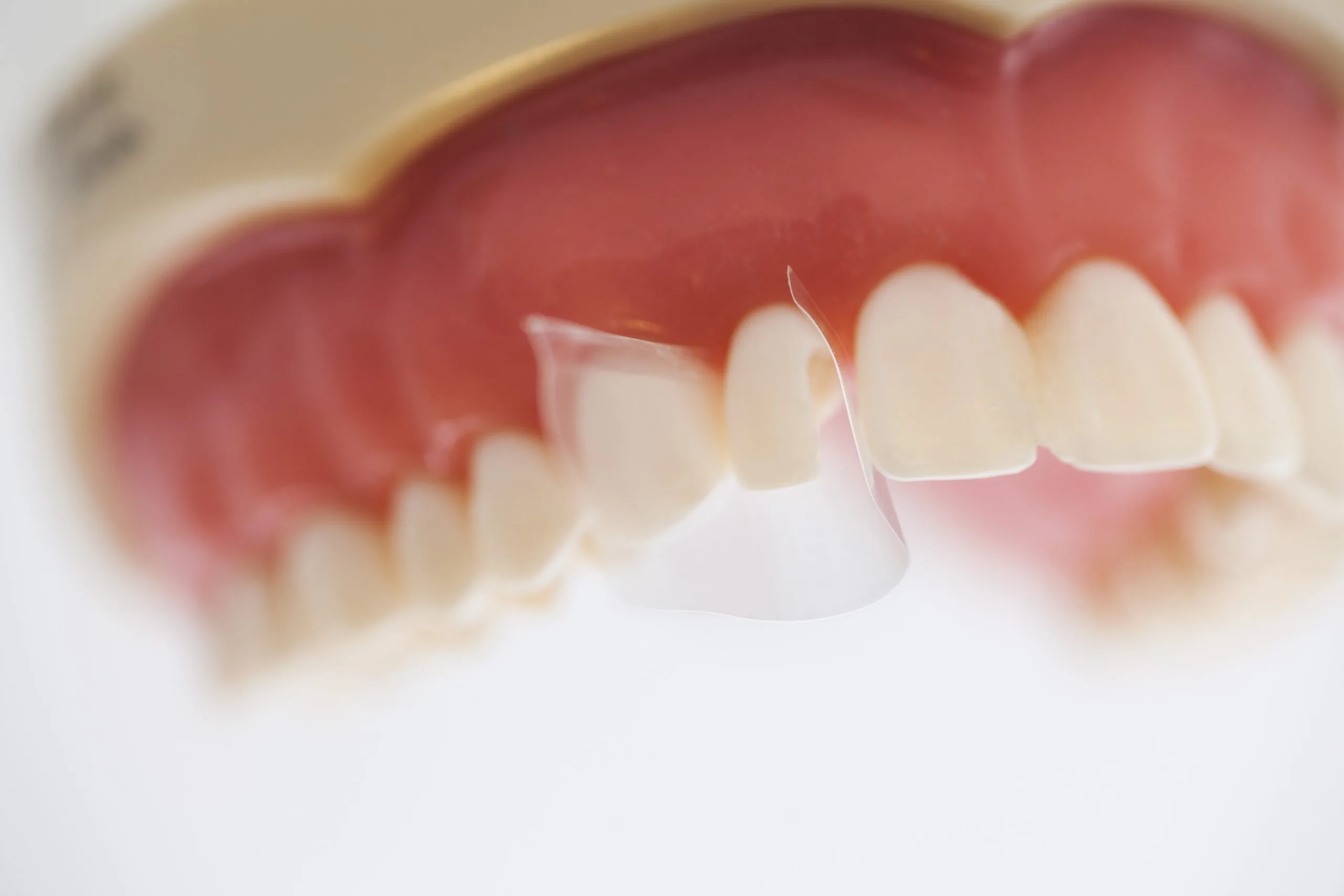 ProxyPal with teeth-3